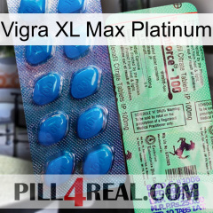 Vigra Xl Max Platinum new02